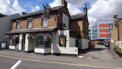 Golden Lion