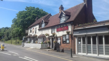 The Swan