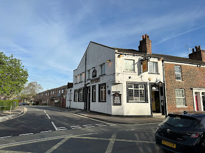 The Swan