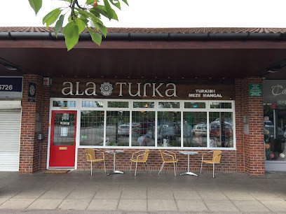 Alaturka Meze Mangal