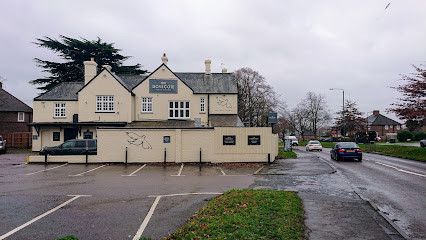 The Dove