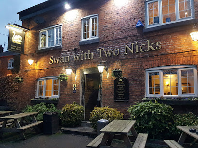 Swan with Two Nicks