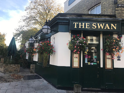 The Swan