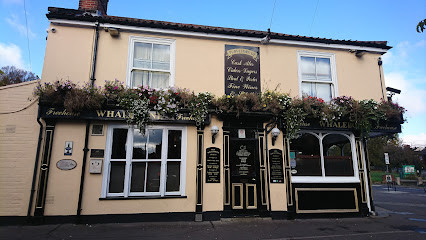 The Whalebone