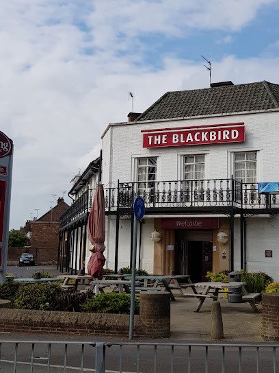 The Blackbird