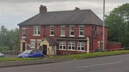 Bay Horse