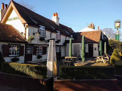 the Pied Bull Enfield