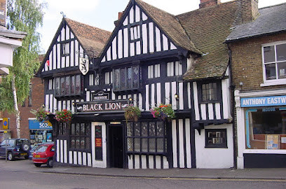 The Black Lion