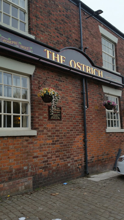 The Ostrich