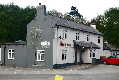 The Birch Tree