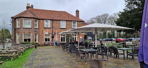 The Colney Fox