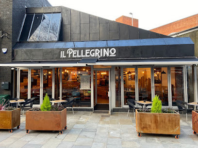 Il Pellegrino