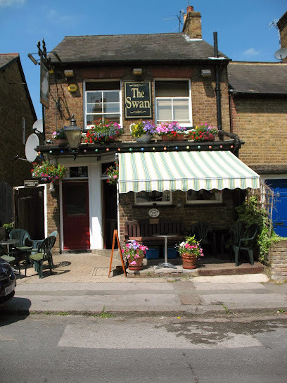 The Swan