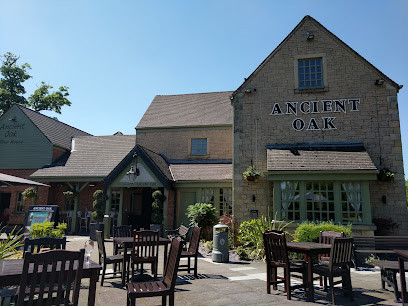 Ancient Oak