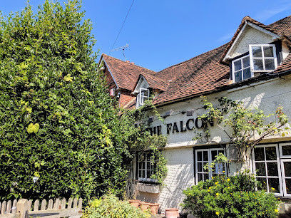 The Falcon