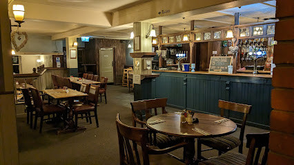 The Owl